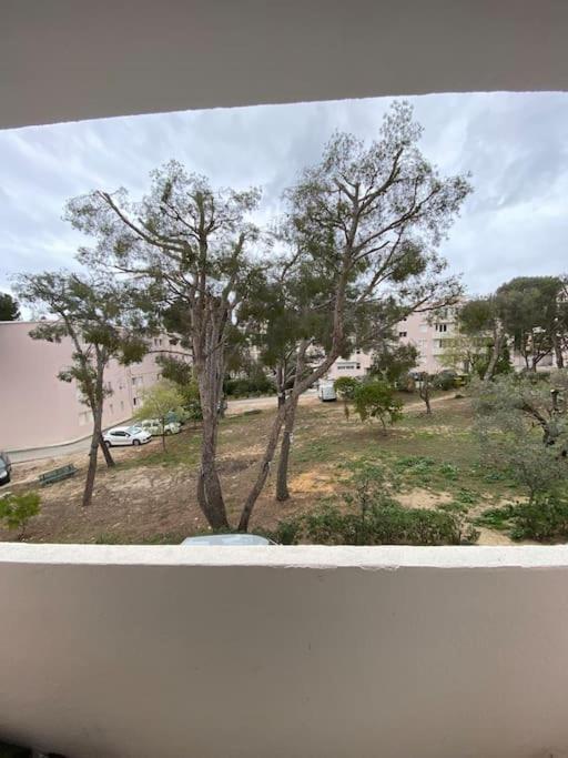 T3 La Ciotat Plage Dış mekan fotoğraf